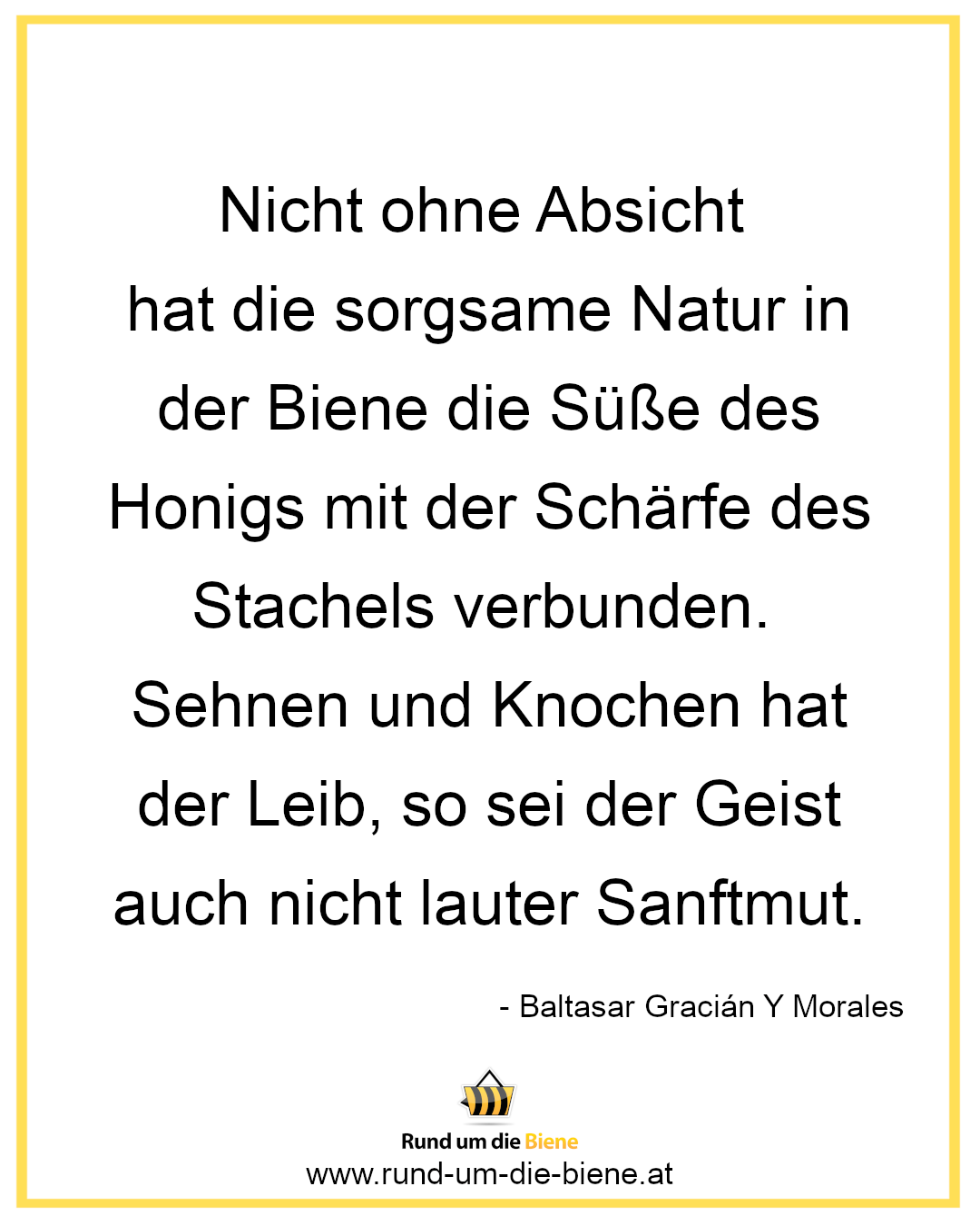 Zitate über Bienen Rund um die Biene